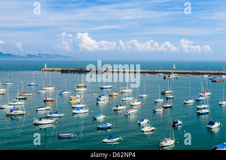 Blick über den Yachthafen von Brixham und Torbay, Devon, England. Stockfoto