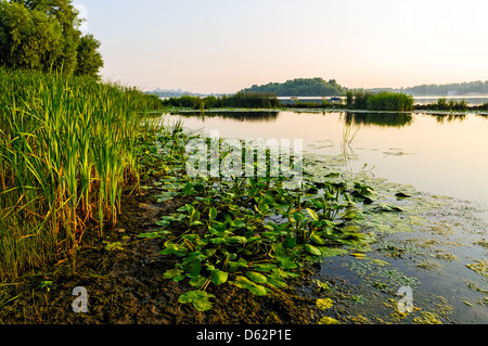 Einen ruhigen Blick des Flusses Dniper bald im Morgengrauen Stockfoto