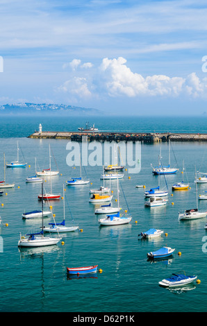 Blick über den Yachthafen von Brixham und Torbay, Devon, England. Stockfoto