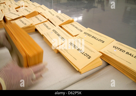 Abwesender Stimmzettel wird sortiert und vorbereitet für die Aufnahme bei den Ada County Wahlen Gebäude in Boise, Idaho, USA. Stockfoto