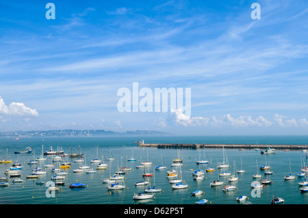 Blick über den Yachthafen von Brixham und Torbay, Devon, England. Stockfoto