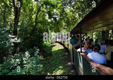 Gemencer Waldes im Nationalpark Danube-Drau, Ungarn Stockfoto