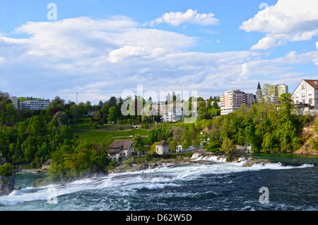 Größte Wasserfall in Europa. Rheinfall Stockfoto