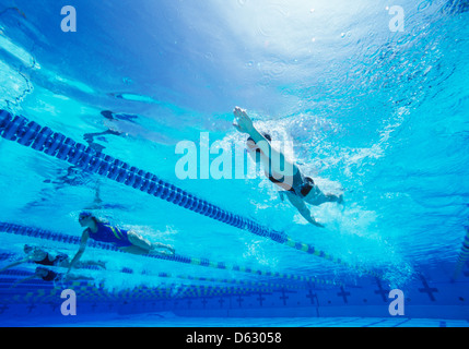 Weibliche Schwimmer Schwimmen im pool Stockfoto