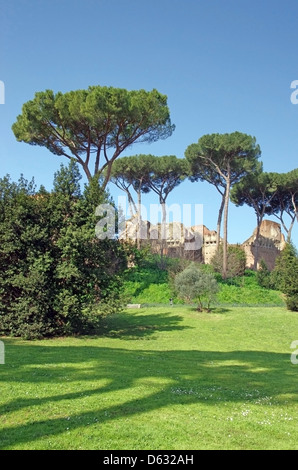 Palatin (Domus Severiana‹ Ruinen) in Rom Stockfoto