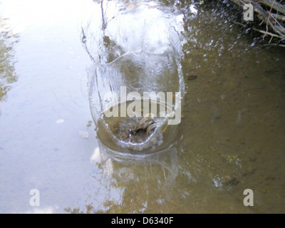 Diese Abbildung zeigt kreisförmige Wellenringe, die im Wasser durch Tropfen oder Spritzer auf der Oberfläche eines Flusses oder Baches entstehen. Verfügbar zur kostenlosen Nutzung unter der öffentlichen Domain. Stockfoto