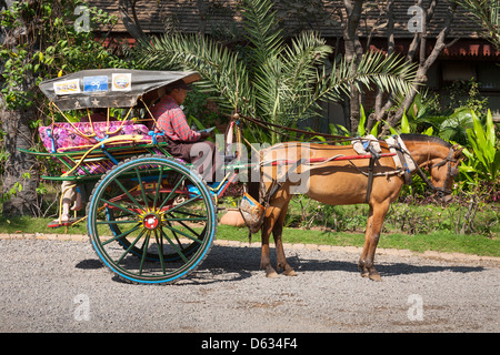 Pferd und Wagen, Bagan, Myanmar (Burma) Stockfoto