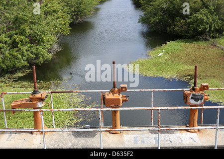 Eine typische Entwässerungskanal in Südwest Florida, USA Stockfoto