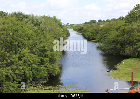 Eine typische Entwässerungskanal in Südwest Florida, USA Stockfoto