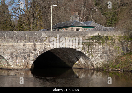 Brücke über den Fluß Tavy in Tavistock, Devon, England, UK Stockfoto