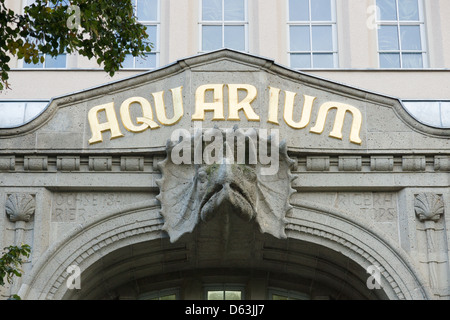 BERLIN - SEPTEMBER 08: Aquarium im Berliner Zoo Zoologischer Garten, 8. September 2012 Berlin, Deutschland Stockfoto