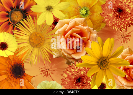 Potpourri von Blumen Stockfoto