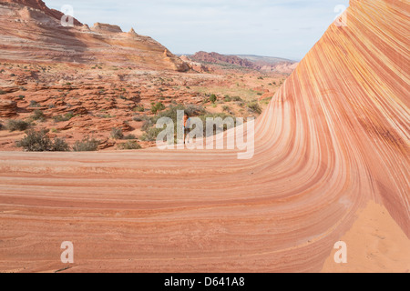 Junge Frau Wandern entlang der unmarkiert - The Wave - nahe der Grenze zu Arizona und Utah an den Hängen des Coyote Buttes Stockfoto