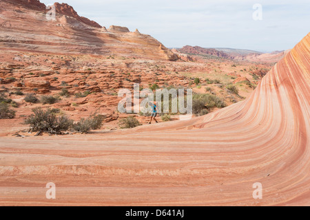 Junge Frau Wandern entlang der unmarkiert - The Wave - nahe der Grenze zu Arizona und Utah an den Hängen des Coyote Buttes Stockfoto