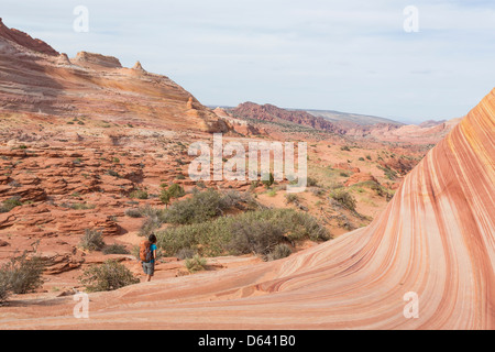 Junge Frau Wandern entlang der unmarkiert - The Wave - nahe der Grenze zu Arizona und Utah an den Hängen des Coyote Buttes Stockfoto