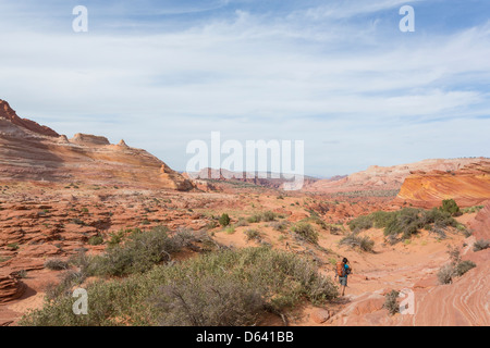 Junge Frau Wandern entlang der unmarkiert - The Wave - nahe der Grenze zu Arizona und Utah an den Hängen des Coyote Buttes Stockfoto