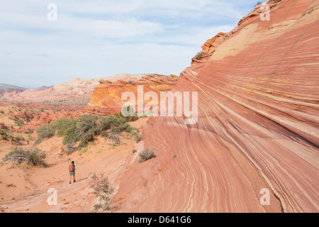 Junge Frau Wandern entlang der unmarkiert - The Wave - nahe der Grenze zu Arizona und Utah an den Hängen des Coyote Buttes Stockfoto