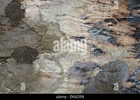 Alte Mauer Stockfoto