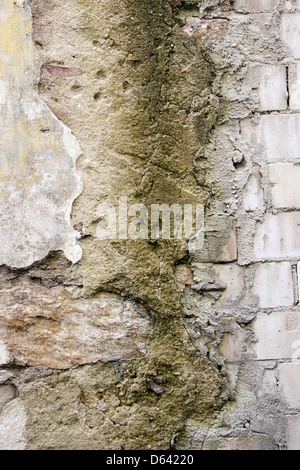 Alte Mauer Stockfoto