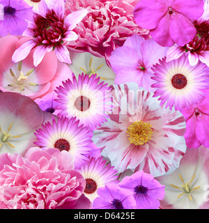Mischung aus rosa Blüten Stockfoto