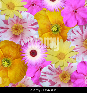 Mischung aus Blumen Stockfoto