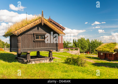 Grass-Dach-Haus Stockfoto