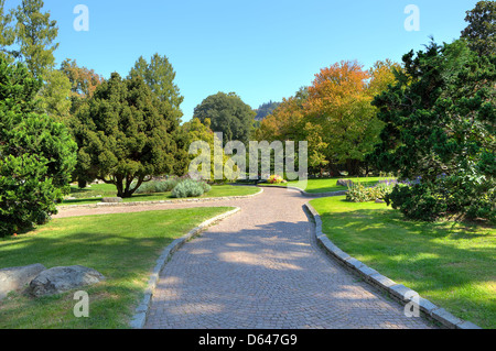 Schmale gepflasterte Gasse zwischen grünen Wiesen und Bäumen unter blauem Himmel auf botanische Teil des berühmten Valentino Parks in Turin. Stockfoto