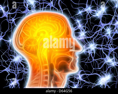 MRT Gehirn und Nervenzellen Stockfoto