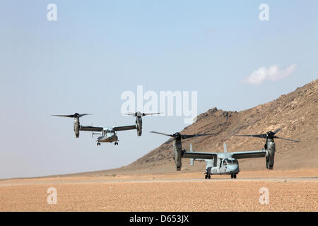 US Marine Corps MV-22 Osprey, das Flugzeug mit Marine Medium Tiltrotor Squadron 264 auf einer gemeinsamen Militäroperation von uns, Brite/Britin und die afghanische startet Kräfte 11. April 2013 in der Provinz Helmand, Afghanistan. Stockfoto