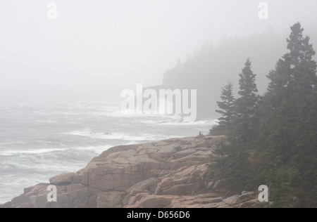 Wilden Atlantik im Acadia National Park, Maine. Stockfoto