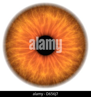 Braune Augen, artwork Stockfoto