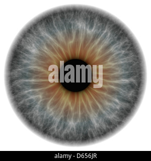 Graue Augen, artwork Stockfoto