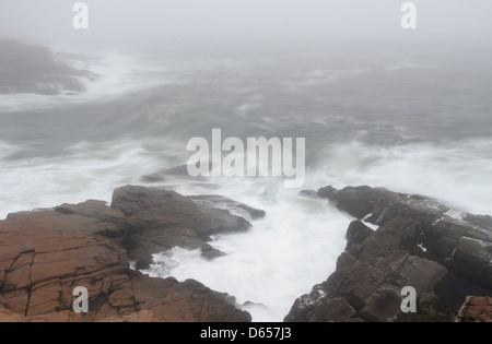 Hurrikan Sandy im Acadia National Park, Maine. Stockfoto