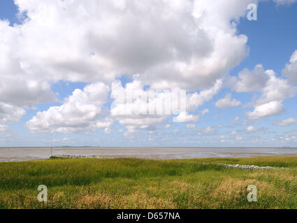 (Dpa Datei) - eine Archiv-Bild vom 24. Juni 2011, zeigt einen Landschaft Blick auf den Nationalpark "Hamburgisches Wattenmeer" in der Nähe von Sahlenburg, Deutschland. Im Jahr 2012 zählt Deutschland 14 Nationalparks zwischen Berchtesgaden im Süden und die Nordsee entlang der Nordsee im Norden des Landes. Foto: Ingo Wagner Stockfoto