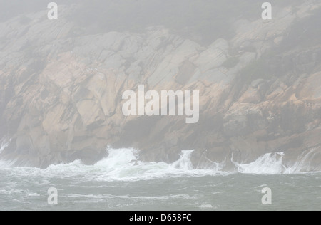 Wellen, die gegen die felsige Küste von Acadia National Park, Maine. Stockfoto