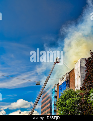 Feuerwehr auf einer Leiter, die Löscharbeiten Stockfoto