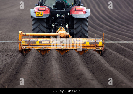 Frühling Kartoffeln in Reihen anpflanzen, tschechischer Bauer Stockfoto