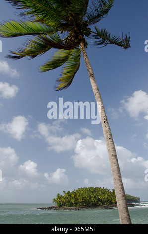 Französisches Überseegebiet, Französisch-Guayana, Heil Inseln. Ansicht der Teufelsinsel aus Ile Royale, berüchtigte Gefängnis beherbergt. Stockfoto