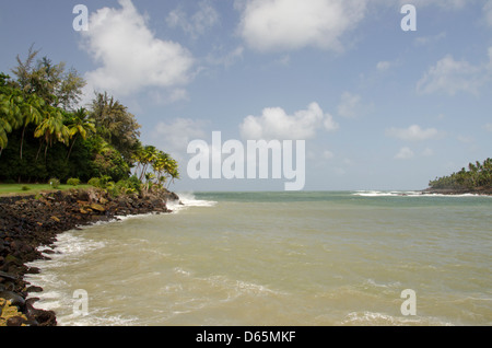 Französisches Überseegebiet, Französisch-Guayana, Heil Inseln. Ile Royale berüchtigten Strafkolonie, felsige Küste beheimatet. Stockfoto