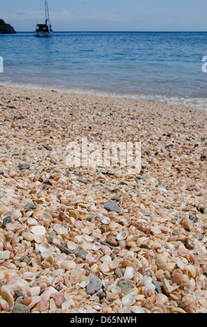 Französische Antillen, Karibik Insel Saint Barthelemy (aka St. Barts). Hauptstadt Stadt Gustavia, Shell Beach. Stockfoto