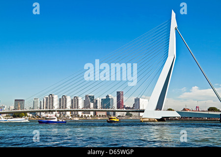 Erasmusbrücke in Rotterdam Hafen der Niederlande Stockfoto
