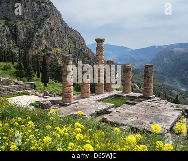 Blick hinunter auf den Apollo-Tempel in der antiken Stätte von Delphi in Thessalien, Zentralgriechenland Stockfoto