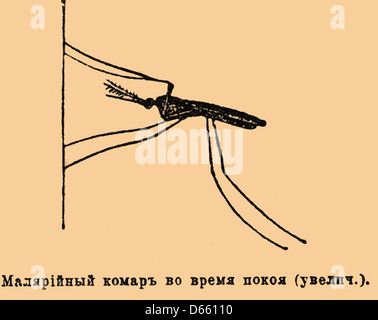 Aus dem Brockhaus und Efron Enzyklopädisches Wörterbuch Stockfoto