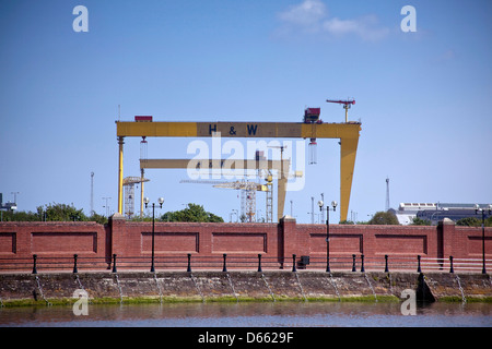 Harland & Wolff Portalkräne, Samson und Goliath, Belfast, Nordirland Stockfoto