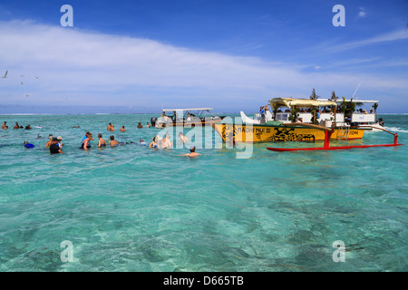 Touristen auf einen Schnorchel Ausflug zum schwarzen Spitzen Haie und Rochen im seichten Wasser der Lagune Bora Bora anzeigen. Stockfoto