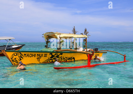 Touristen auf einen Schnorchel Ausflug zum schwarzen Spitzen Haie und Rochen im seichten Wasser der Lagune Bora Bora anzeigen. Stockfoto