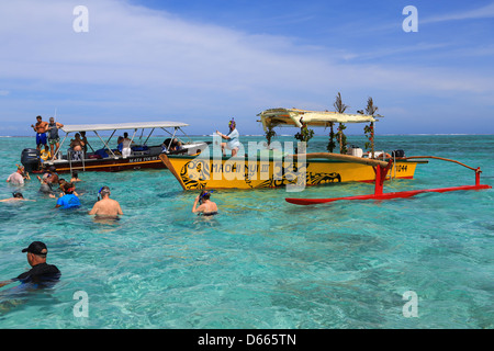 Touristen auf einen Schnorchel Ausflug zum schwarzen Spitzen Haie und Rochen im seichten Wasser der Lagune Bora Bora anzeigen. Stockfoto