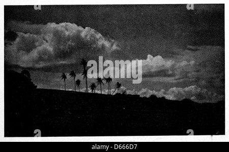 Dieses Bild aus dem Jahr 1920 zeigt eine nächtliche Szene in Hawaii mit Palmen, die sich am Abendhimmel abheben. Die tropische Landschaft unterstreicht die Schönheit und Ruhe Hawaiis, wie in den Texten und Bildern des Liedes dargestellt. Stockfoto