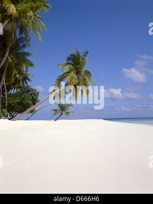 Tropischen Strandblick, Republik Malediven, Kuda Bandos Island, Kaafu Atoll Stockfoto