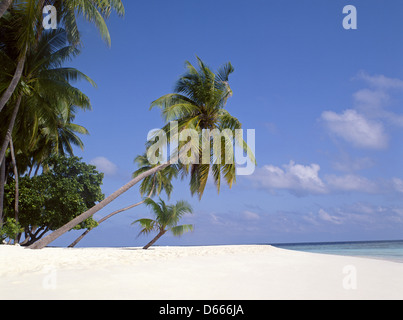 Tropischen Strandblick, Republik Malediven, Kuda Bandos Island, Kaafu Atoll Stockfoto